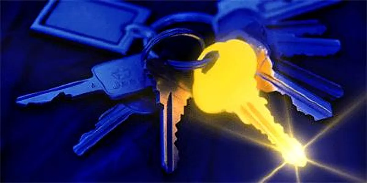 Der mögliche Schlüssel zum Erfolg