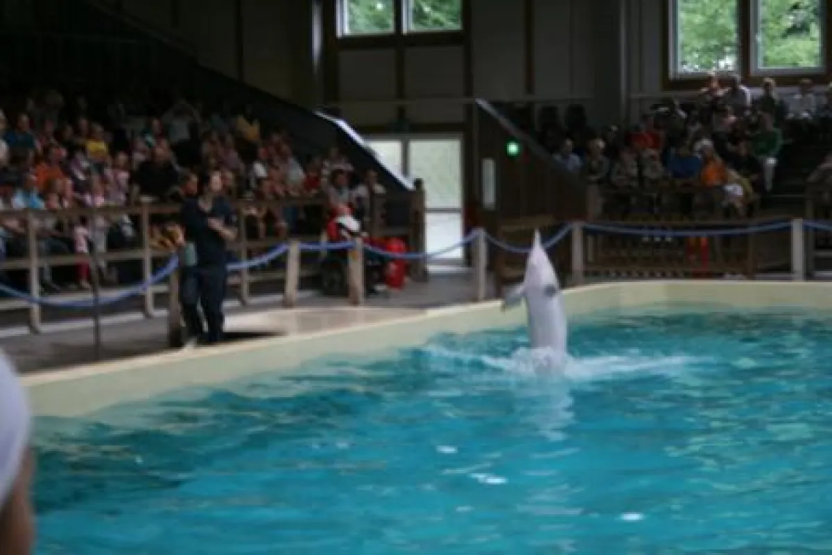 Schluss mit der Delfin-Show in Münster (WDSF-Foto)