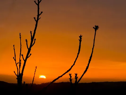 Oulu 2026: Music Travel Hideaways startet neuen Schwerpunkt zur Kulturhauptstadt Europas Bild: Oulu 2026: Music Travel Hideaways startet neuen Schwerpunkt zur Kulturhauptstadt Europas