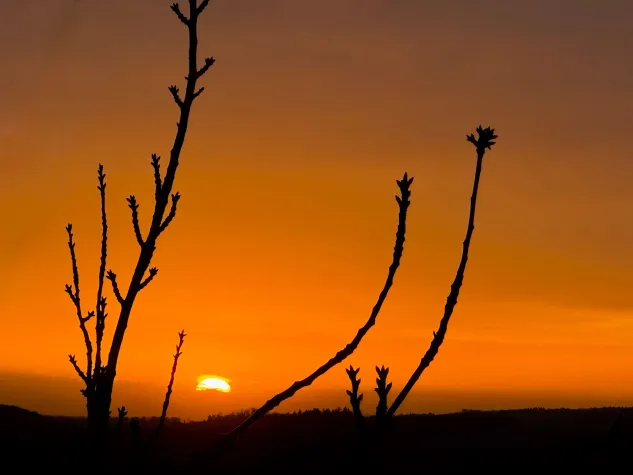 Bild: Oulu 2026: Music Travel Hideaways startet neuen Schwerpunkt zur Kulturhauptstadt Europas