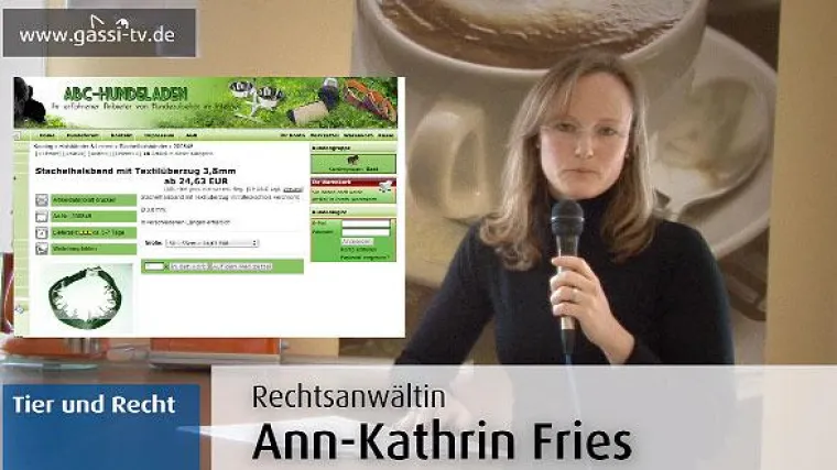 Bild: Stachelhalsband und Teletakt