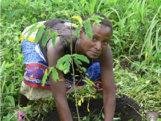 Green Ticketing - Klimaneutrale Events mit amiando und ClimatePartner Bild: Green Ticketing - Klimaneutrale Events mit amiando und ClimatePartner