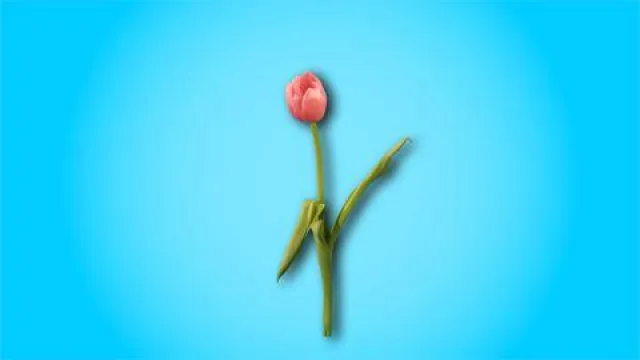 Bild: Neuer Kinospot für den Münchner Merkur