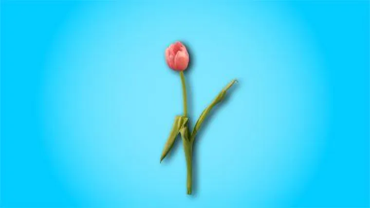 Bild: Neuer Kinospot für den Münchner Merkur