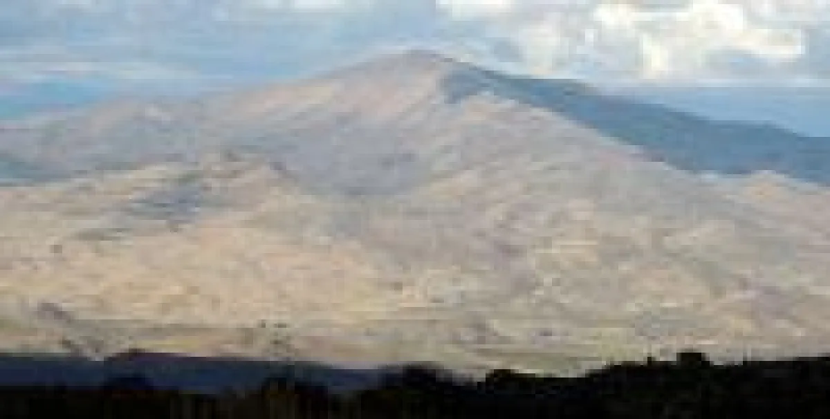 CopperBank- Contact-Projekt