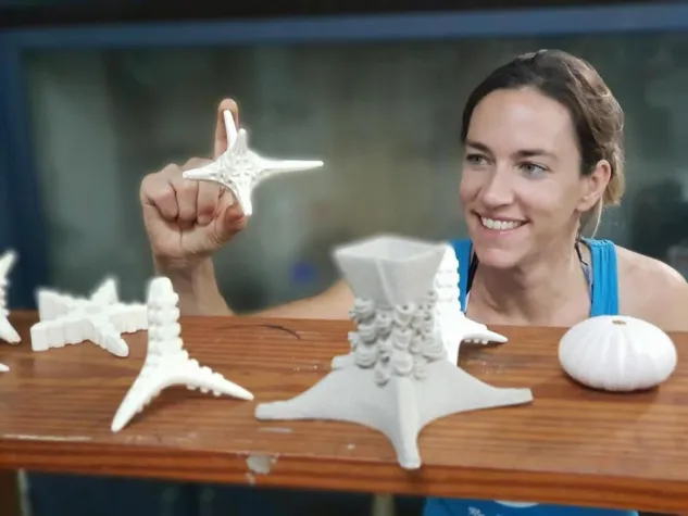 Korallen retten mit 3D-gedruckter Keramik von der FIT Additive Manufacturing Group Bild: Korallen retten mit 3D-gedruckter Keramik von der FIT Additive Manufacturing Group