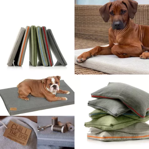 Bild: Nur ein Hundebett für ein ganzes Hundeleben