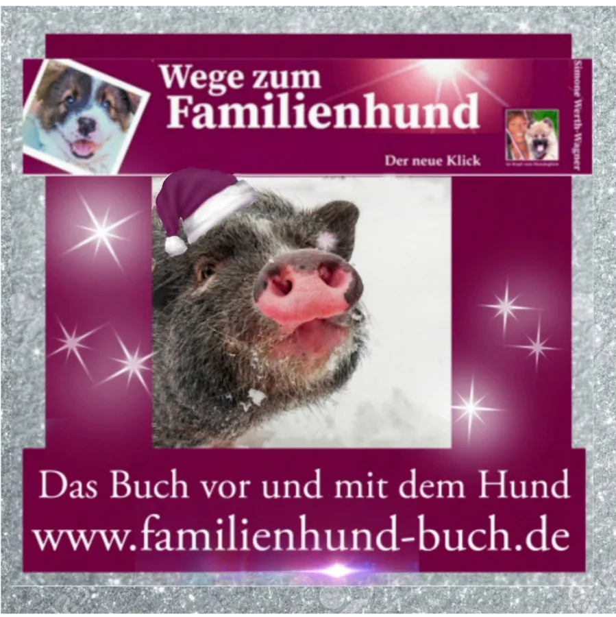 Buch, Familienhund, Welpe, Rasse, Weihnachten, Mischling, Hundeschule, Erziehung, Begleithund (© Simone Wagner )
