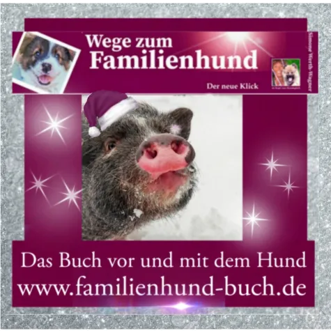 Bild: Buchtipp zu Weihnachten: Für Welpen-Besitzer und Welpen-Kaufen-Woller 