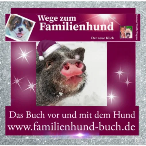 Buchtipp zu Weihnachten: Für Welpen-Besitzer und Welpen-Kaufen-Woller Bild: Buchtipp zu Weihnachten: Für Welpen-Besitzer und Welpen-Kaufen-Woller