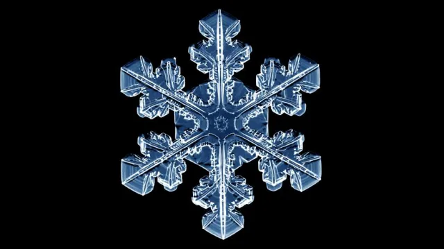 Vom Formenreichtum der Schneeflocken Bild: Vom Formenreichtum der Schneeflocken