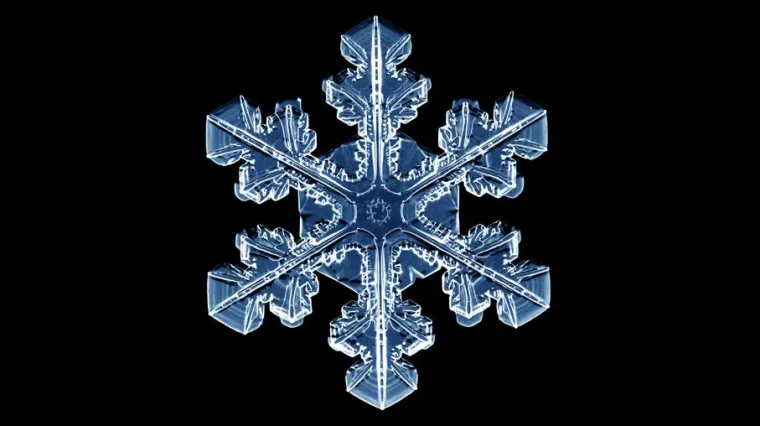 Bild: Vom Formenreichtum der Schneeflocken