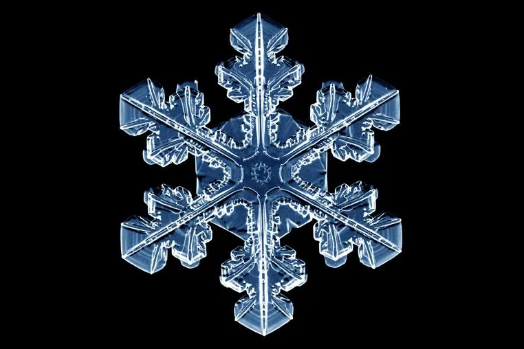 Bild: Vom Formenreichtum der Schneeflocken