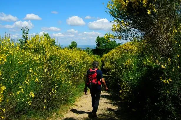 Bild: Blühender Ginster und heiße Quellen - Wandern und Wellness am Lago Trasimeno in Umbrien