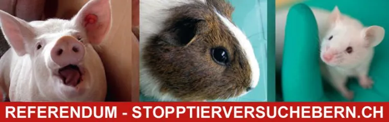 Bild: Referendum gegen den Ausbau der Tierversuche an der Universität Bern