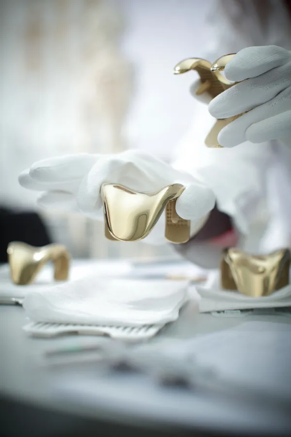 Waldemar Link setzt Maßstäbe in der Primär- und Revisionsendoprothetik großer Gelenke (© Waldemar Link)