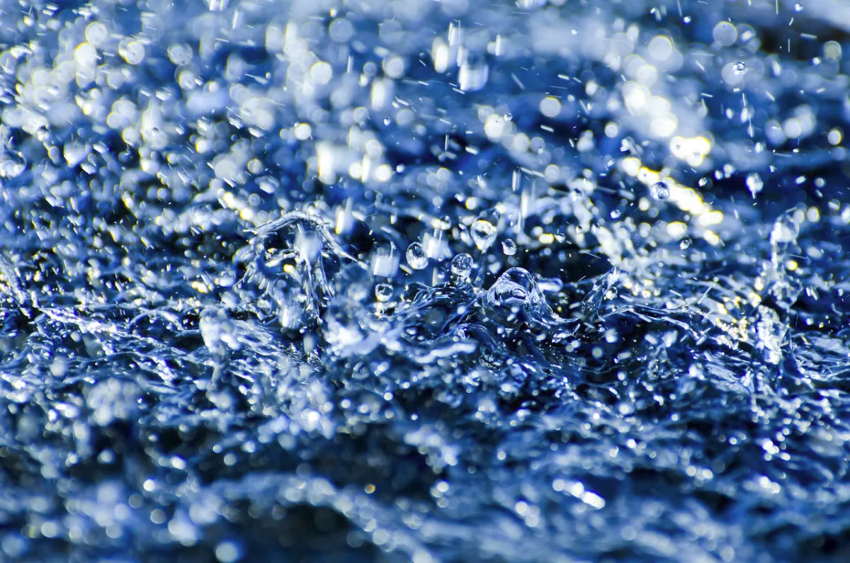  (© PublicDomainPictures from Pixabay)