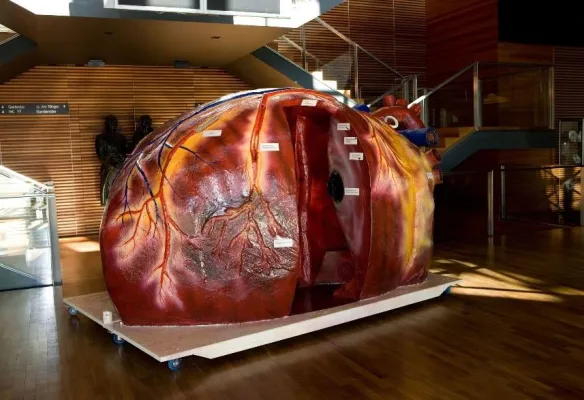 Bild: Neue Kompetenz für Gesundheit und Wohlbefinden – die Infotage in den Spandau Arcaden