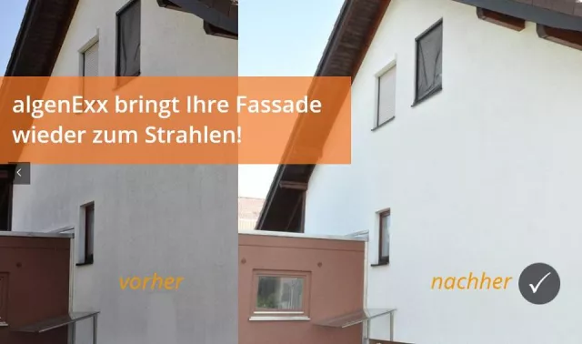 Algenbefall an Fassaden kostengünstig beseitigen Bild: Algenbefall an Fassaden kostengünstig beseitigen