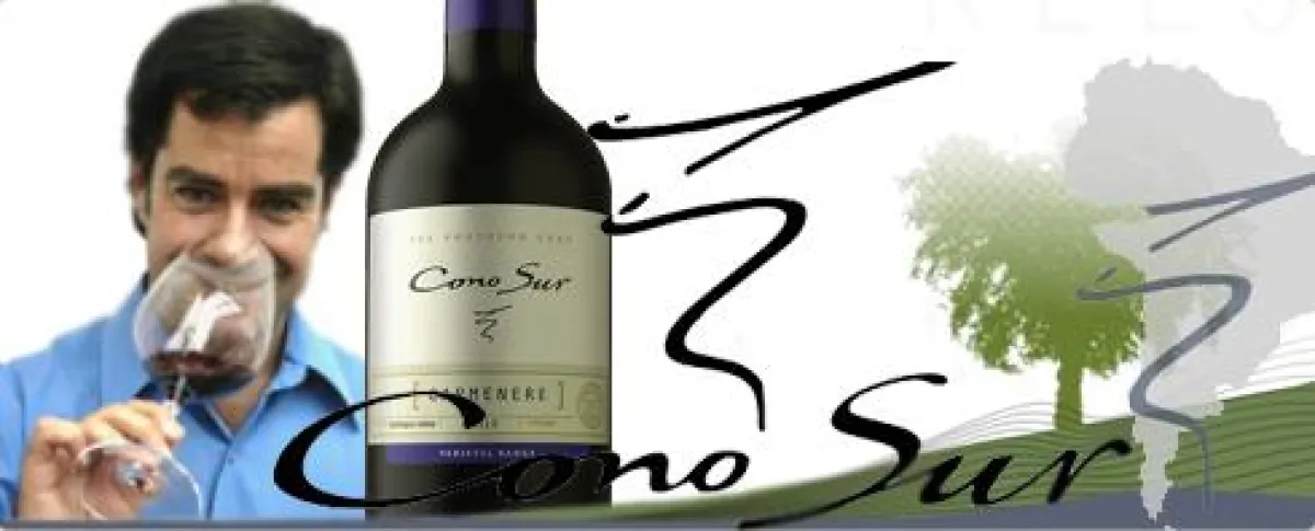 Cono Sur mit Top-Aktionen bei BELVINI.DE