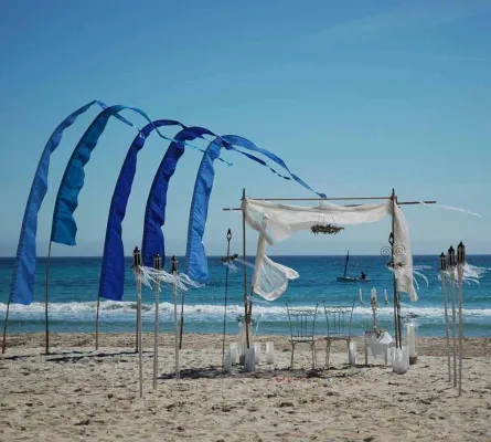 Bild: Feste feiern auf Mallorca - Für sonnige, unvergessliche Augenblicke