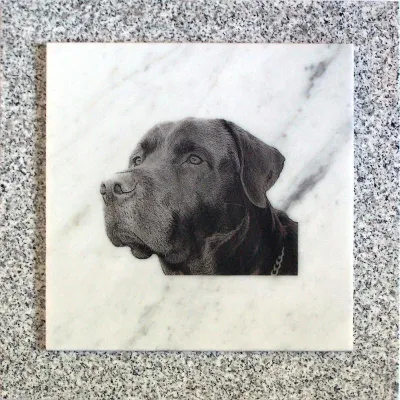 Bild: tierportraits24.de - Tierportraits auf Marmor