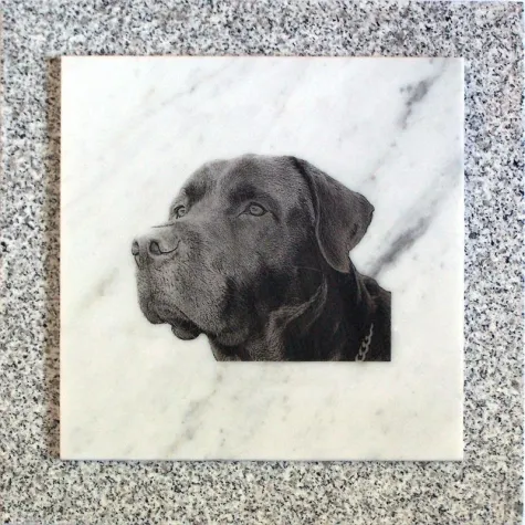 Bild: tierportraits24.de - Tierportraits auf Marmor