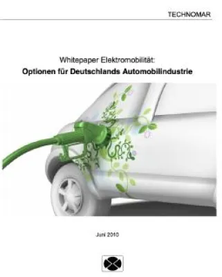 Bild: Abstieg oder neu erfinden? Whitepaper Elektromobilität zeigt Optionen für Deutschlands Automobilindustrie