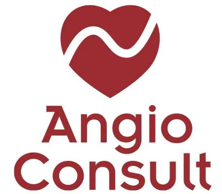 Bild: AngioConsult und Elucid Bio bringen zusammen eine innovative AI-Technologie auf den europäischen Markt