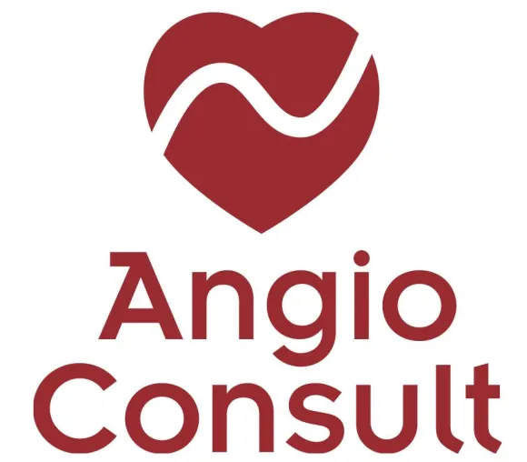Bild: AngioConsult und Elucid Bio bringen zusammen eine innovative AI-Technologie auf den europäischen Markt