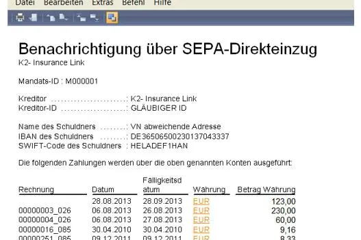 GIN-AX: Dieses Maklerverwaltungsprogramm kann SEPA Bild: GIN-AX: Dieses Maklerverwaltungsprogramm kann SEPA