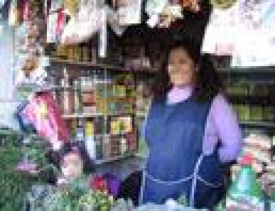 Stand einer Kräterfrau in Arequipa