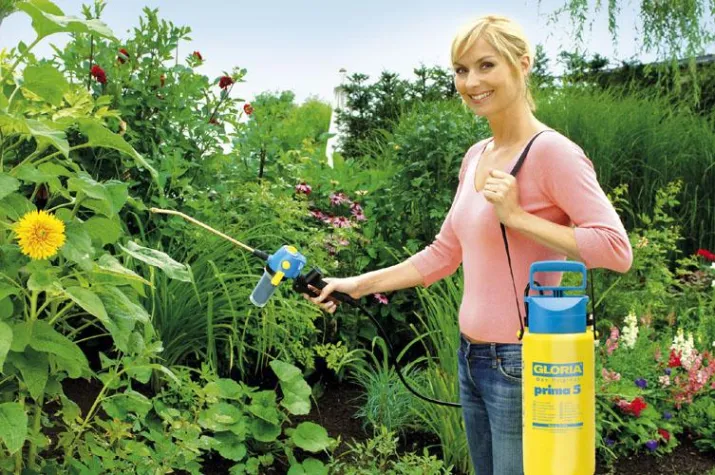 Bild: Brill Gloria Sprühsystem erhält Innovationspreis des Verbraucherschutzministeriums