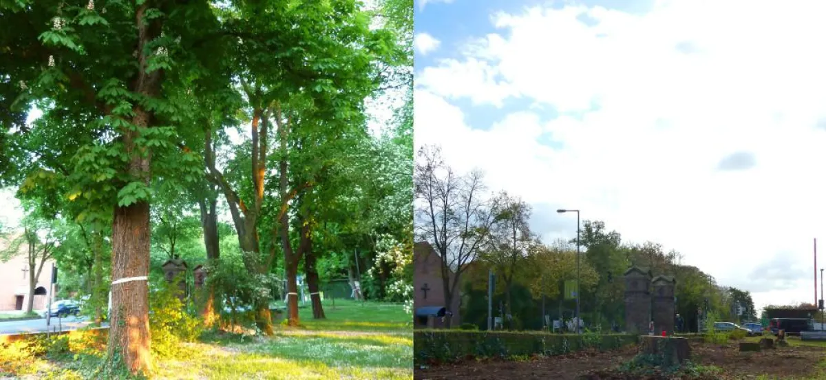 Pünktlich zur Weltklimakonferenz in Bonn kam eine klare Botschaft aus Köln. Foto: A. Wulf