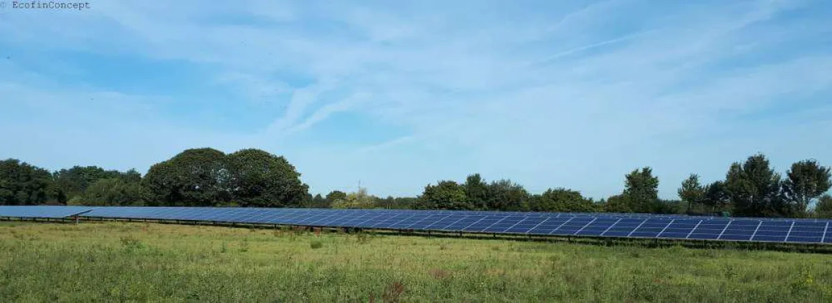 Solarpark EcofinConcept (Symbolfoto)