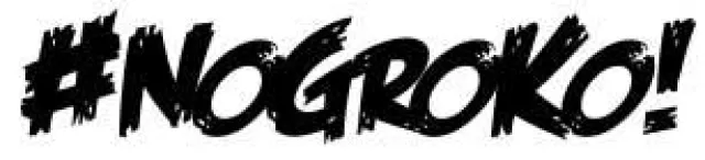 Bild: SPD-Basis erhebt sich gegen große Koalition