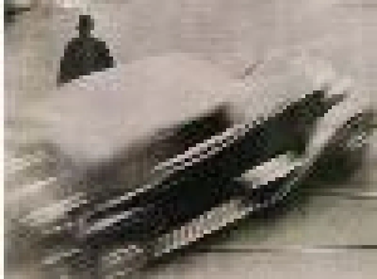 Anton Stankowski: Fixiertes Tempo