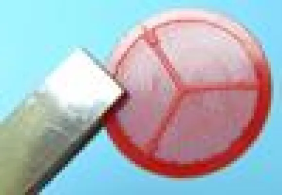 Lösungen aus einer Hand – Hongkonger Gemeinschaftsstand feiert Premiere auf der Fakuma Bild: Lösungen aus einer Hand – Hongkonger Gemeinschaftsstand feiert Premiere auf der Fakuma