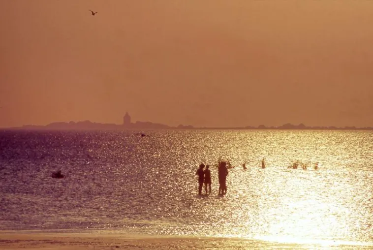 Bild: Mit dem Wattführer 2011 ins Weltnaturerbe Wattenmeer