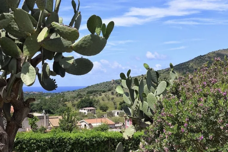 Bild: „Il Casale“ - Gemütliches Ferienhaus in ehemaligem Weingut