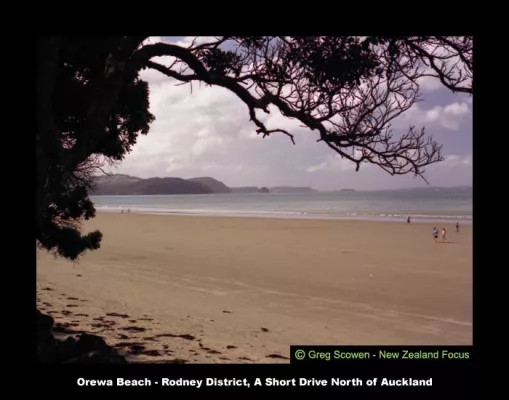 Ein Stück Neuseeland zu verschenken Bild: Ein Stück Neuseeland zu verschenken