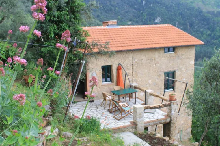 Bild: Toskana einmal anders: Ein „Urlaub im Olivenhain“ bei Camaiore
