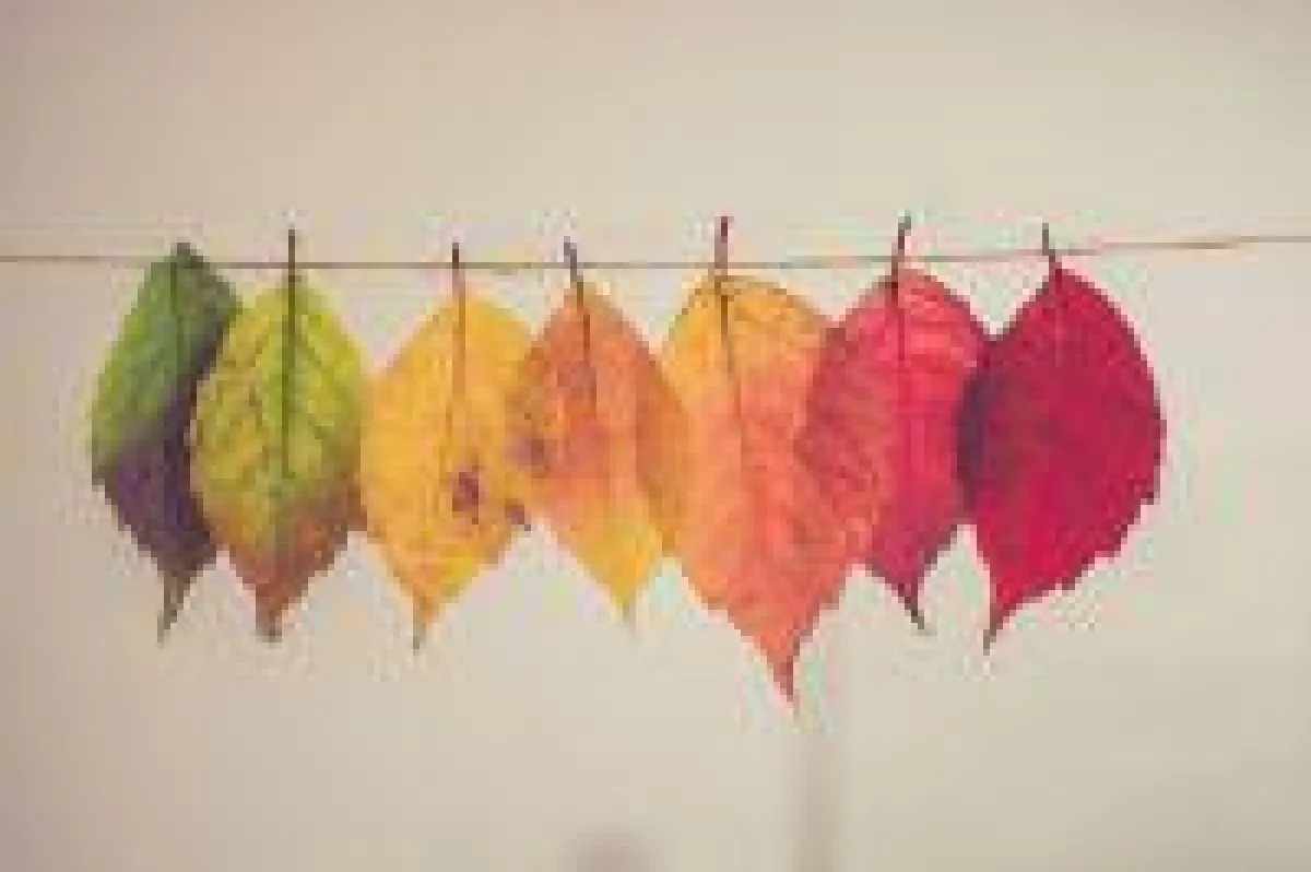 Logodesign und Farbgestaltung: 7 Farben und deren Effekte