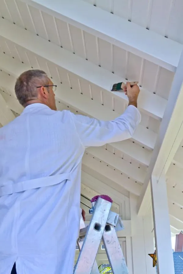 Ein-Topf-Systeme von Jansen: ISO-HDF Holzdeckenfarbe und ISO-WSF Wetterschutzfarbe.