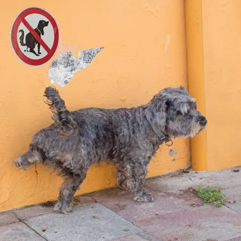 Fotoworkshop „Streetfotografie in S/W und Farbe“ Bild: Fotoworkshop „Streetfotografie in S/W und Farbe“