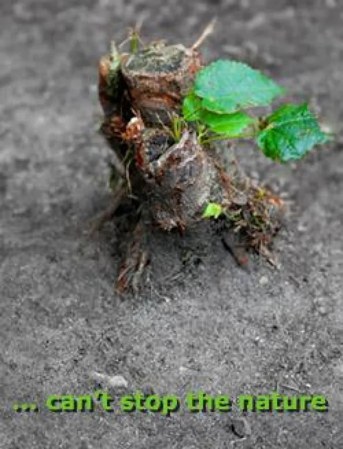 © Gesine Finder. PROJEKTLOGO.