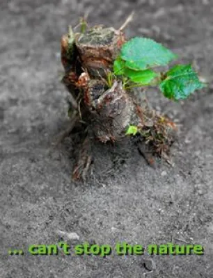 Bild: CAN'T STOP THE NATURE