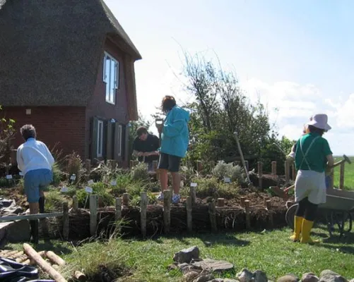 Bild: Internationales IPP-Workcamp bei der SCHUTZSTATION WATTENMEER