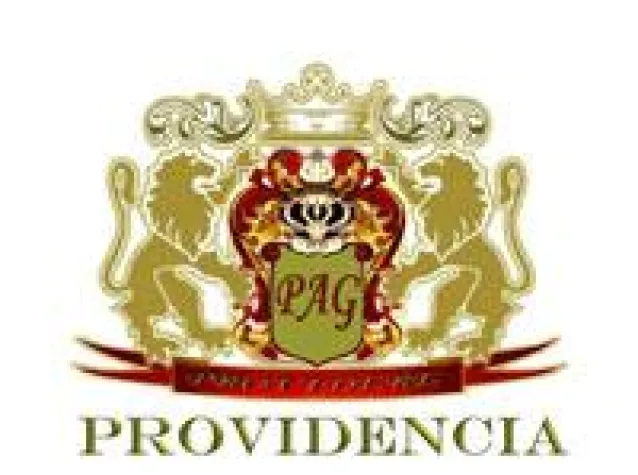 Ein starker Partner - die Providencia AG Bild: Ein starker Partner - die Providencia AG