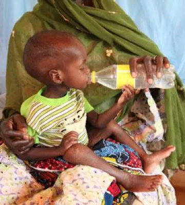 Bild: Schreinerei Hein spendet Notunterkünfte für Flüchtlingsfamilien